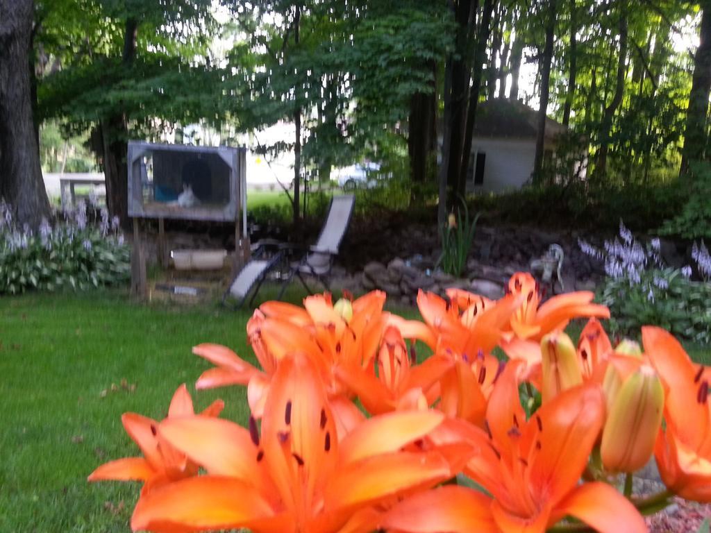 Kountry Living Bed And Breakfast Онеонта Экстерьер фото
